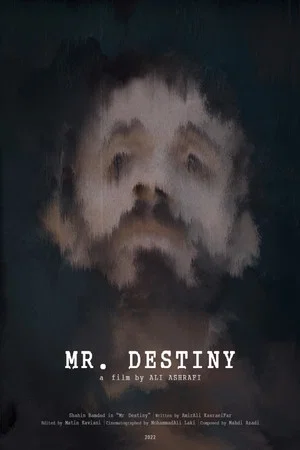 Постер: Mr Destiny