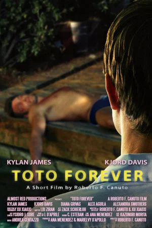 Постер: Toto Forever