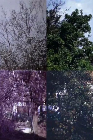 Постер: From Four Seasons