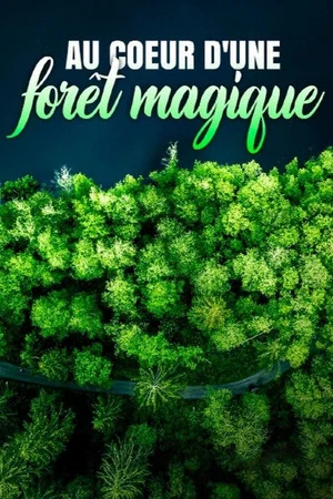 Постер: Au cœur d'une forêt magique