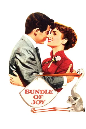 Постер: Bundle of Joy