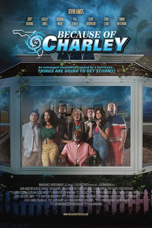 Постер: Because of Charley
