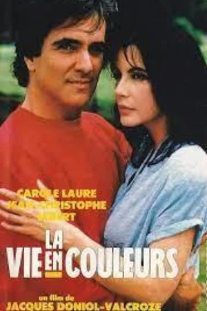 Постер: La vie en couleurs