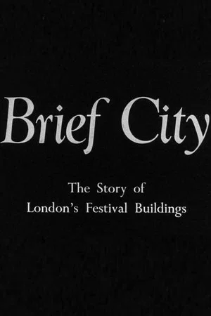 Постер: Brief City