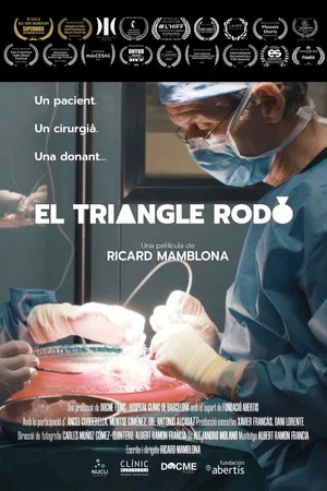 Постер: El triangle rodó