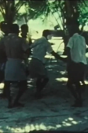 Постер: Musiques et chorégraphies des Maldives