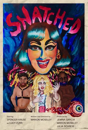 Постер: Snatched