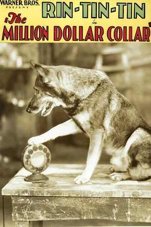 Постер: The Million Dollar Collar