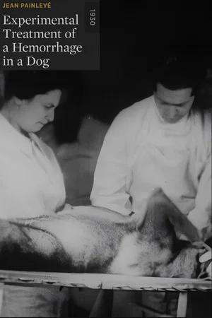 Постер: Experimental Treatment of a Hemorrhage in a Dog