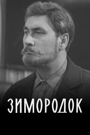Постер: Зимородок
