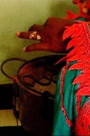 Постер: Les Sénégalaises et la Sénégauloise