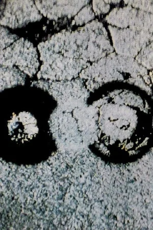 Постер: Traces