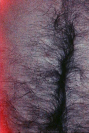 Постер: The Soft White Underbelly