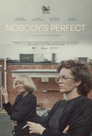 Постер: Nobody's Perfect