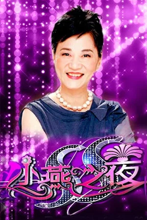 Постер: SS小燕之夜