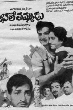 Постер: Bhale Thammudu