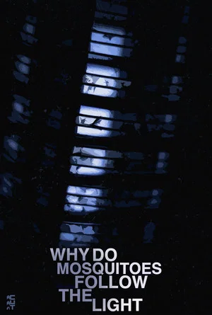Постер: Why Do Mosquitoes Follow The Light?