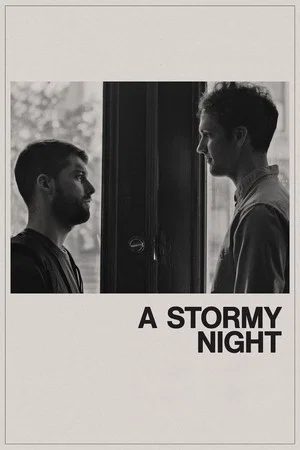 Постер: A Stormy Night