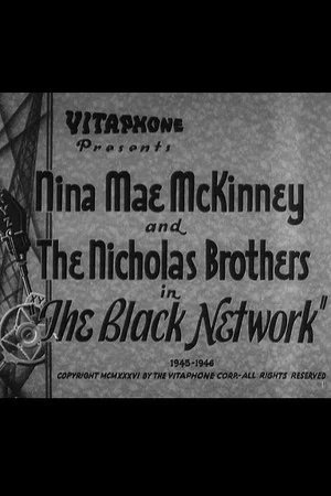Постер: The Black Network