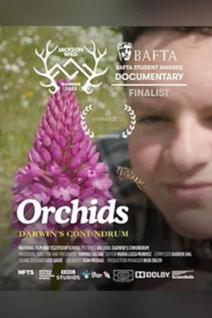 Постер: Orchids: Darwin's Conundrum