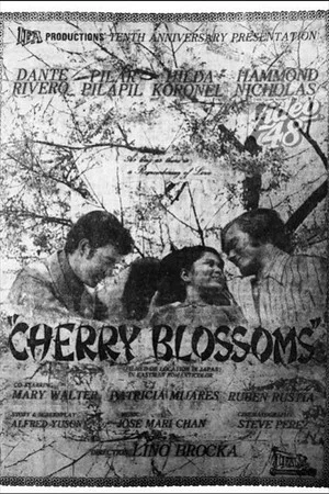 Постер: Cherry Blossoms