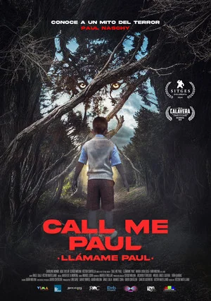 Постер: Call Me Paul