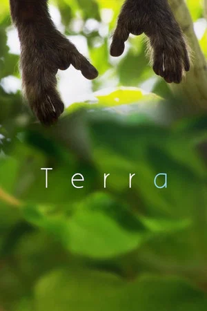 Постер: Terra