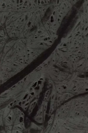 Постер: Ecosystem 6 ~ A Sort of Mycelium