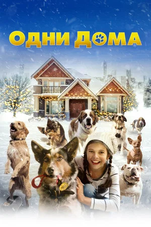 Постер: Одни дома