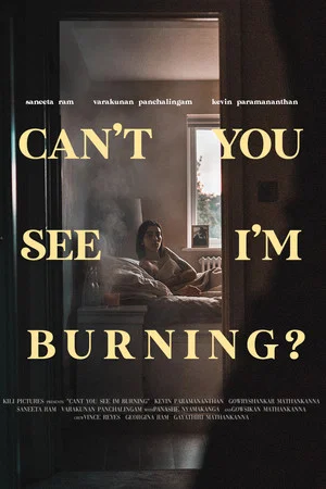 Постер: Can't You See I'm Burning?