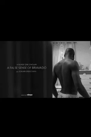 Постер: A False Sense of Bravado