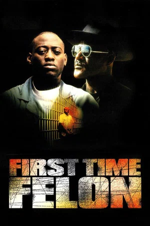 Постер: First Time Felon