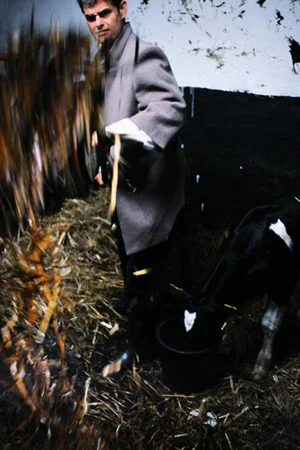 Постер: Milk Fever