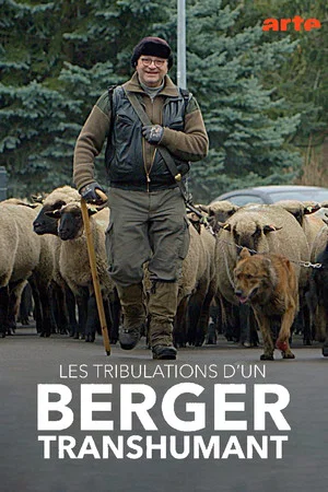 Постер: Les tribulations d'un berger transhumant