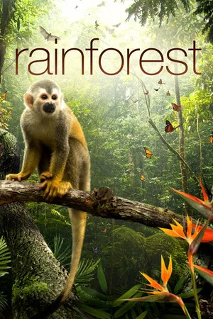 Постер: Secret Life of the Rainforest