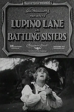 Постер: Battling Sisters