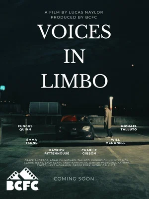 Постер: Voices In Limbo