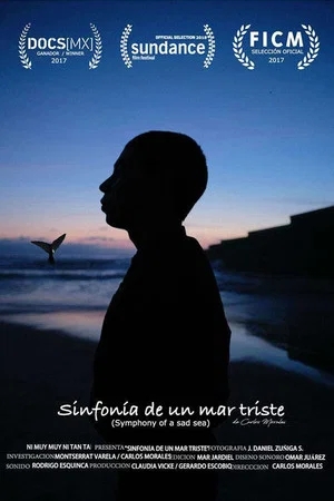 Постер: Symphony of a Sad Sea