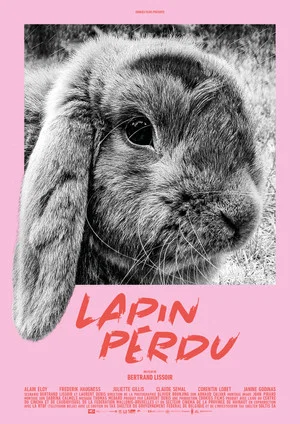 Постер: Lost Rabbit
