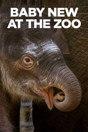 Постер: Baby New at the Zoo