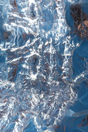 Постер: FOIL