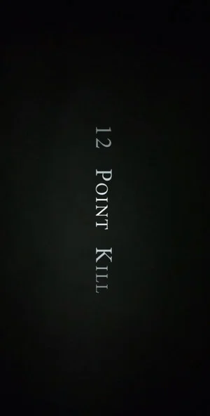 Постер: 12 Point Kill