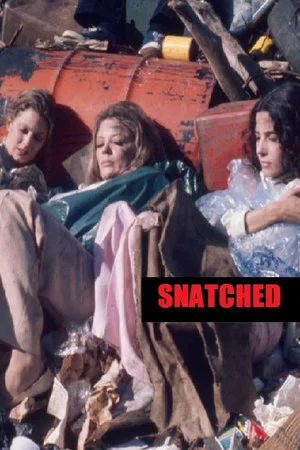 Постер: Snatched