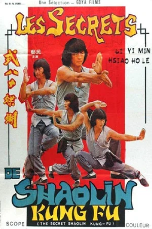 Постер: The Secret Shaolin Kung-Fu