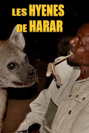 Постер: Les hyènes de Harar