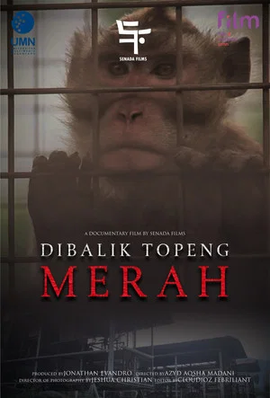 Постер: Di Balik Topeng Merah
