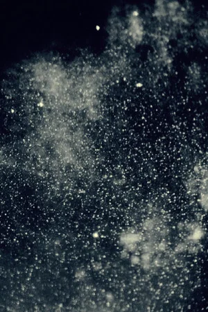 Постер: When We Are Nothing Left