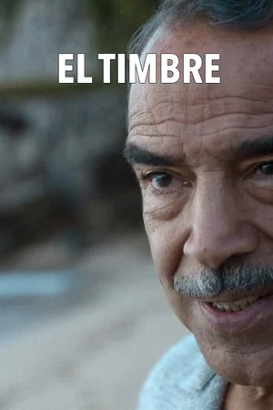 Постер: The Ringer