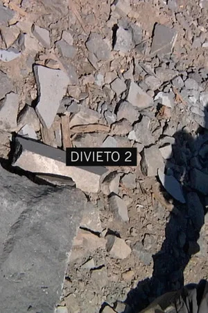 Постер: Divieto 2