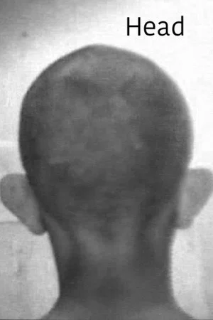Постер: Head